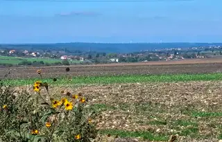 Земеделски имот във Варна, с. Кичево