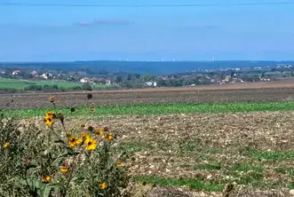 Земеделски имот във Варна, с. Кичево