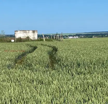 Photo 2 — Agricultural Land in Oblast Varna, Vyglen