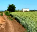 Снимка 3 — Земеделски имот във Варна, с. Въглен