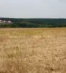 Земеделски имот във Варна, с. Юнец