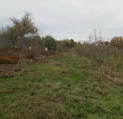 Снимка 4 — Земеделски имот във Велико Търново, Долна Оряховица