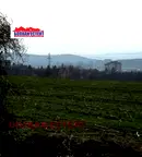 Земеделски имот във Велико Търново, Велико Търново