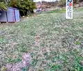 Снимка 4 — Земеделски имот във Велико Търново, с. Пчелище