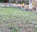 Снимка 5 — Земеделски имот във Велико Търново, с. Пчелище