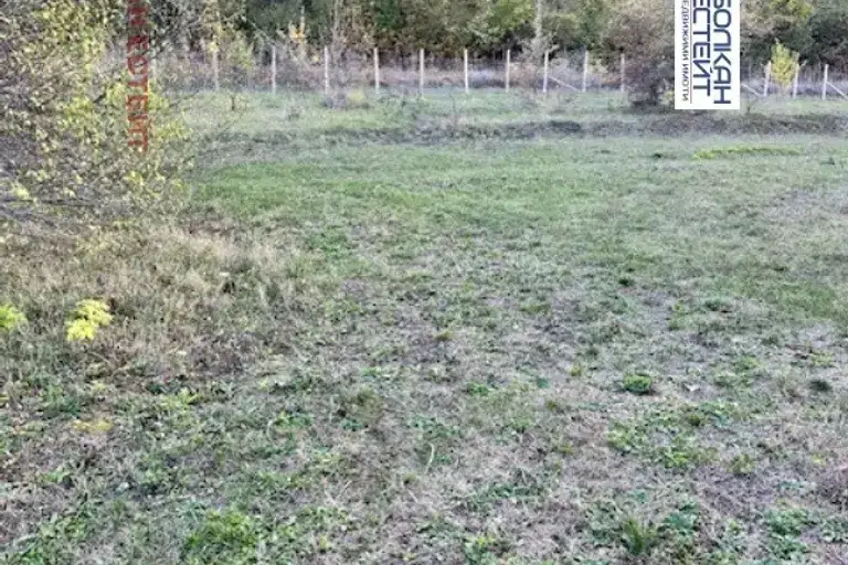 Нива във Велико Търново, с. Пчелище