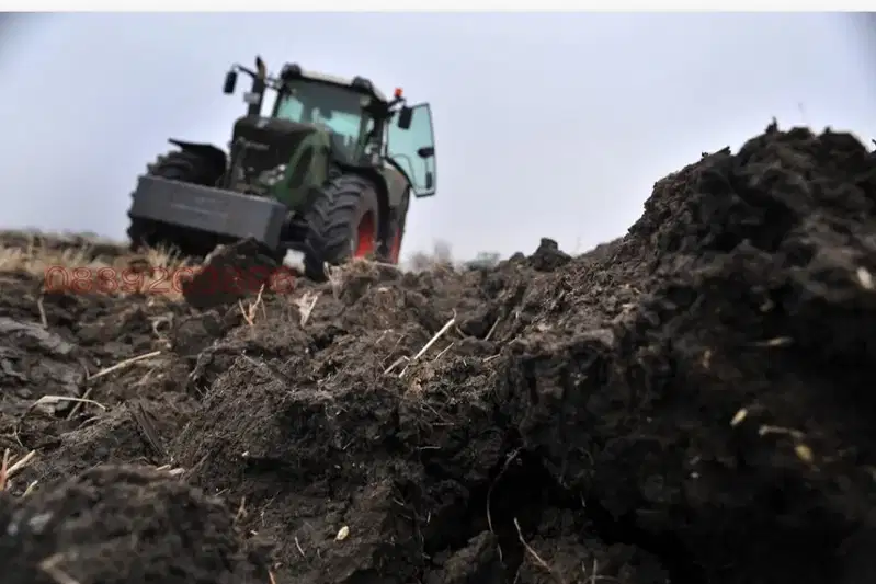Arable Land in Vidin, Boinica