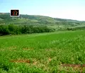 Снимка 2 — Земеделски имот във Враца, с. Долна Бешовица