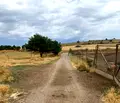 Снимка 2 — Земеделски имот в Ямбол, с. Странджа
