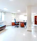 Офис в София, Белите брези