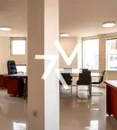 Офис в София, Белите брези