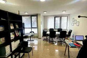 Офис в София, Белите брези