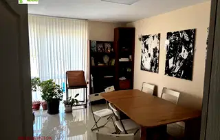 Офис в София, Дървеница