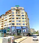 Офис в София, Дървеница