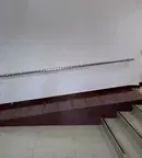 Офис в София, Дървеница