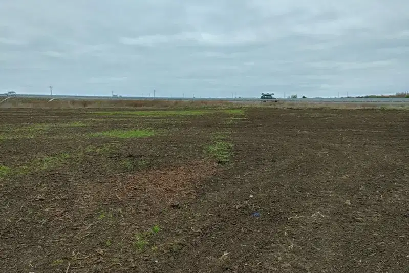 Agricultural Land in Oblast Burgas, Pomorie