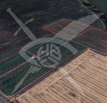 Photo 4 — Agricultural Land in Oblast Burgas, Bratovo