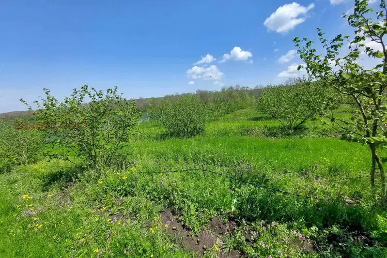 Orchard in Burgas, Drachevo