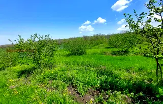Земеделски имот в Бургас, с. Драчево