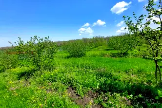 Земеделски имот в Бургас, с. Драчево