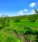 Земеделски имот в Бургас, с. Драчево