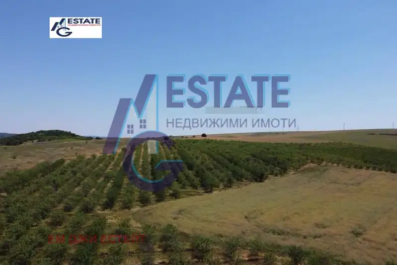 Agricultural Land in Oblast Burgas, Dryankovec