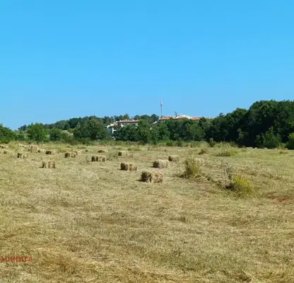 Photo 3 — Agricultural Land in Oblast Burgas, Lozenec