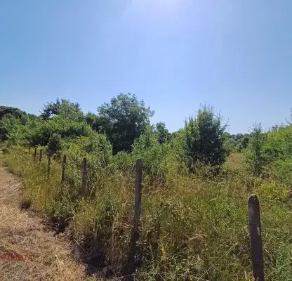 Photo 5 — Agricultural Land in Oblast Burgas, Lozenec