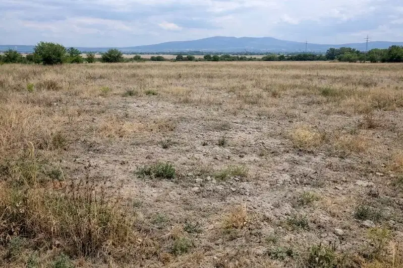 Agricultural Land in Oblast Kyustendil, Gorna Grashtica