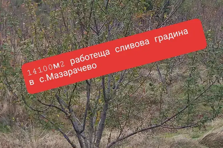 Овощна градина в Кюстендил, с. Мазарачево