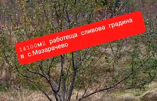 Земеделски имот в Кюстендил, с. Мазарачево
