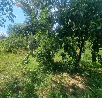 Photo 3 — Agricultural Land in Oblast Lovech, Kazachevo
