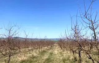 Земеделски имот в Перник, с. Дебели лаг