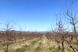 Земеделски имот в Перник, с. Дебели лаг