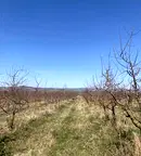 Земеделски имот в Перник, с. Дебели лаг