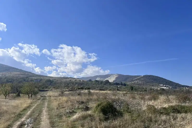 Земеделски имот в Пловдив, с. Брестник