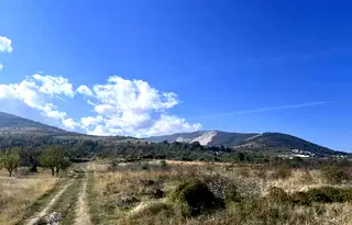 Земеделски имот в Пловдив, с. Брестник