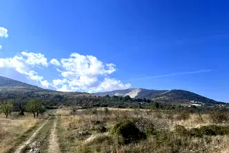 Земеделски имот в Пловдив, с. Брестник