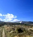 Земеделски имот в Пловдив, с. Брестник