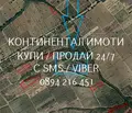 Снимка 2 — Земеделски имот в Пловдив, с. Брестовица
