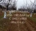 Снимка 3 — Земеделски имот в Пловдив, с. Брестовица