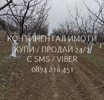 Photo 3 — Agricultural Land in Oblast Plovdiv, Brestovica