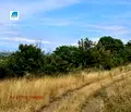 Снимка 3 — Земеделски имот в Пловдив, с. Марково