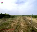 Снимка 2 — Земеделски имот в Пловдив, с. Строево