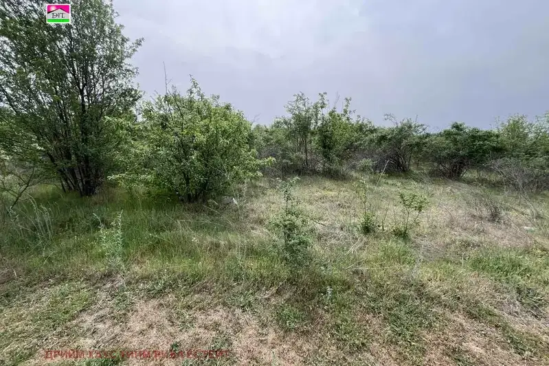 Земеделски имот в Пловдив, с. Строево