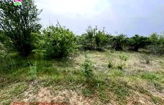 Земеделски имот в Пловдив, с. Строево