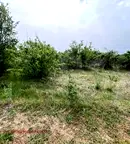 Земеделски имот в Пловдив, с. Строево