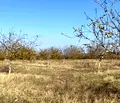 Снимка 4 — Земеделски имот в Шумен, с. Избул