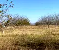 Снимка 5 — Земеделски имот в Шумен, с. Избул