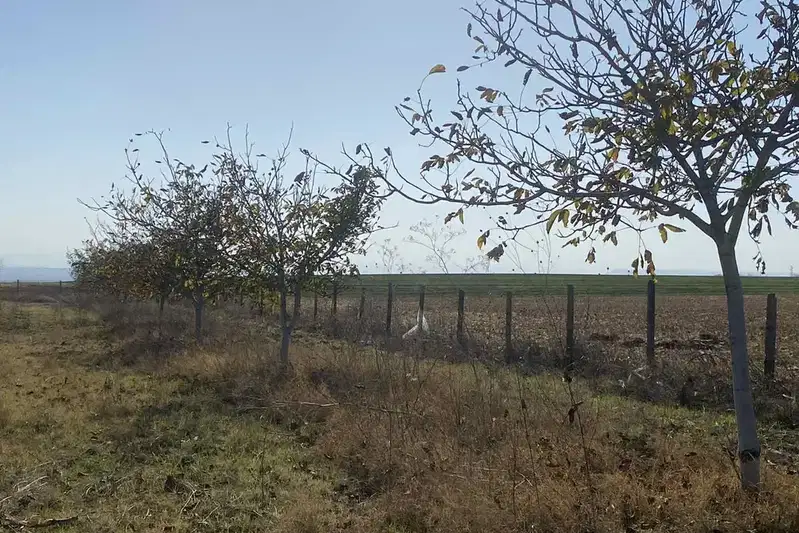Agricultural Land in Oblast Shumen, Izbul